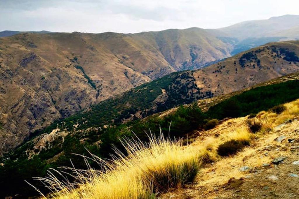 Telecabina Las Catifas Guejar Sierra Exterior foto