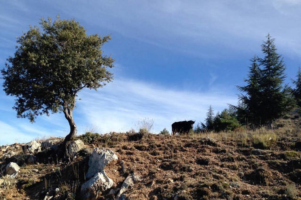 Telecabina Las Catifas Guejar Sierra Exterior foto